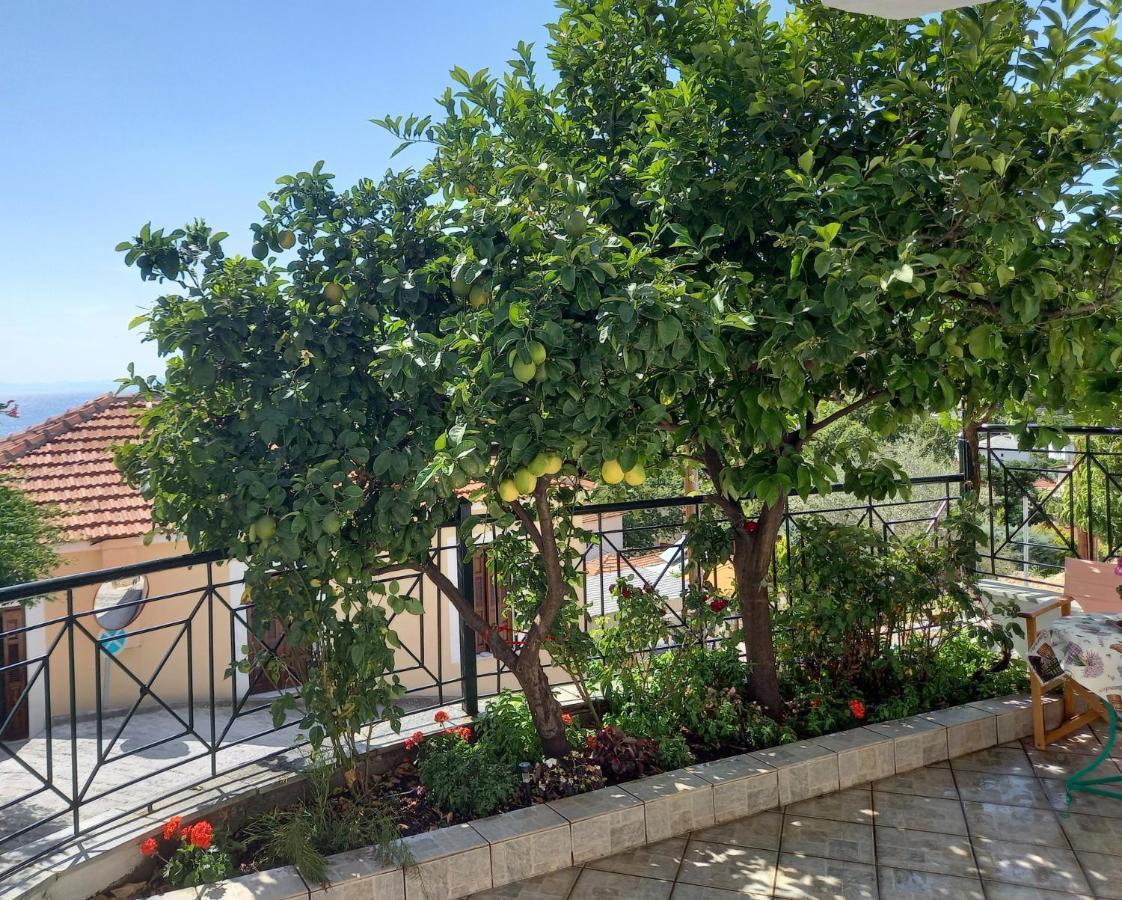 Πηλιο- Το Εξοχικο Τησ Αννασ- Αφησσοσ Vila Afissos Exterior foto