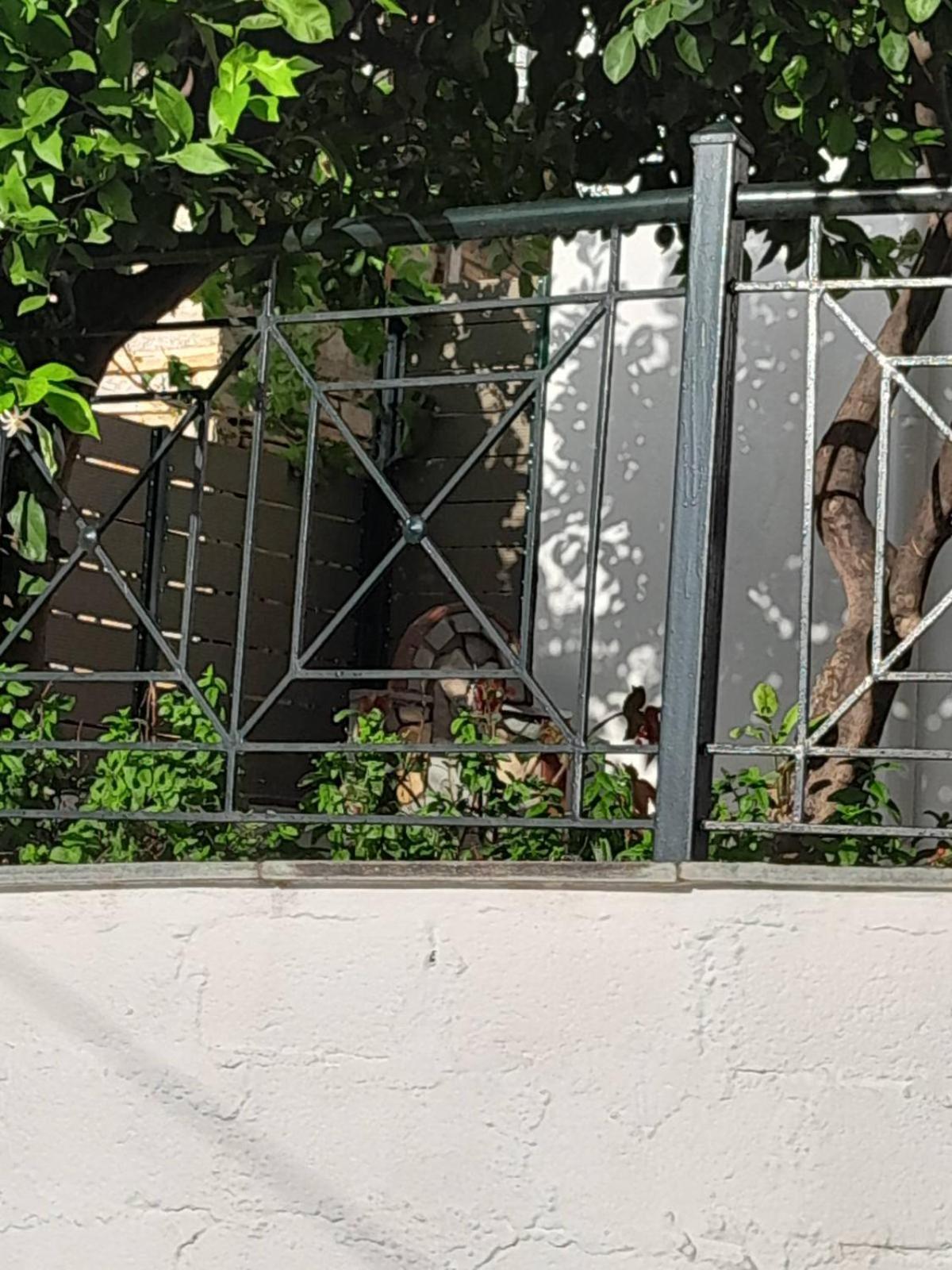 Πηλιο- Το Εξοχικο Τησ Αννασ- Αφησσοσ Vila Afissos Exterior foto